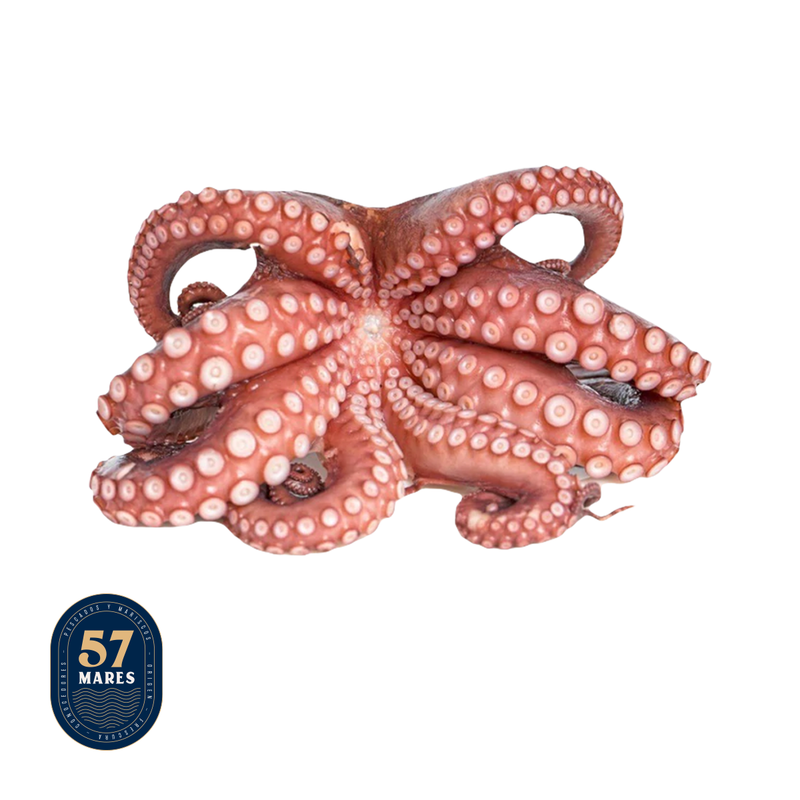 Pulpo 57 Mares 1pz